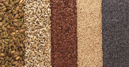 5 vrst semen, ki jih morate vključiti v svojo prehrano
