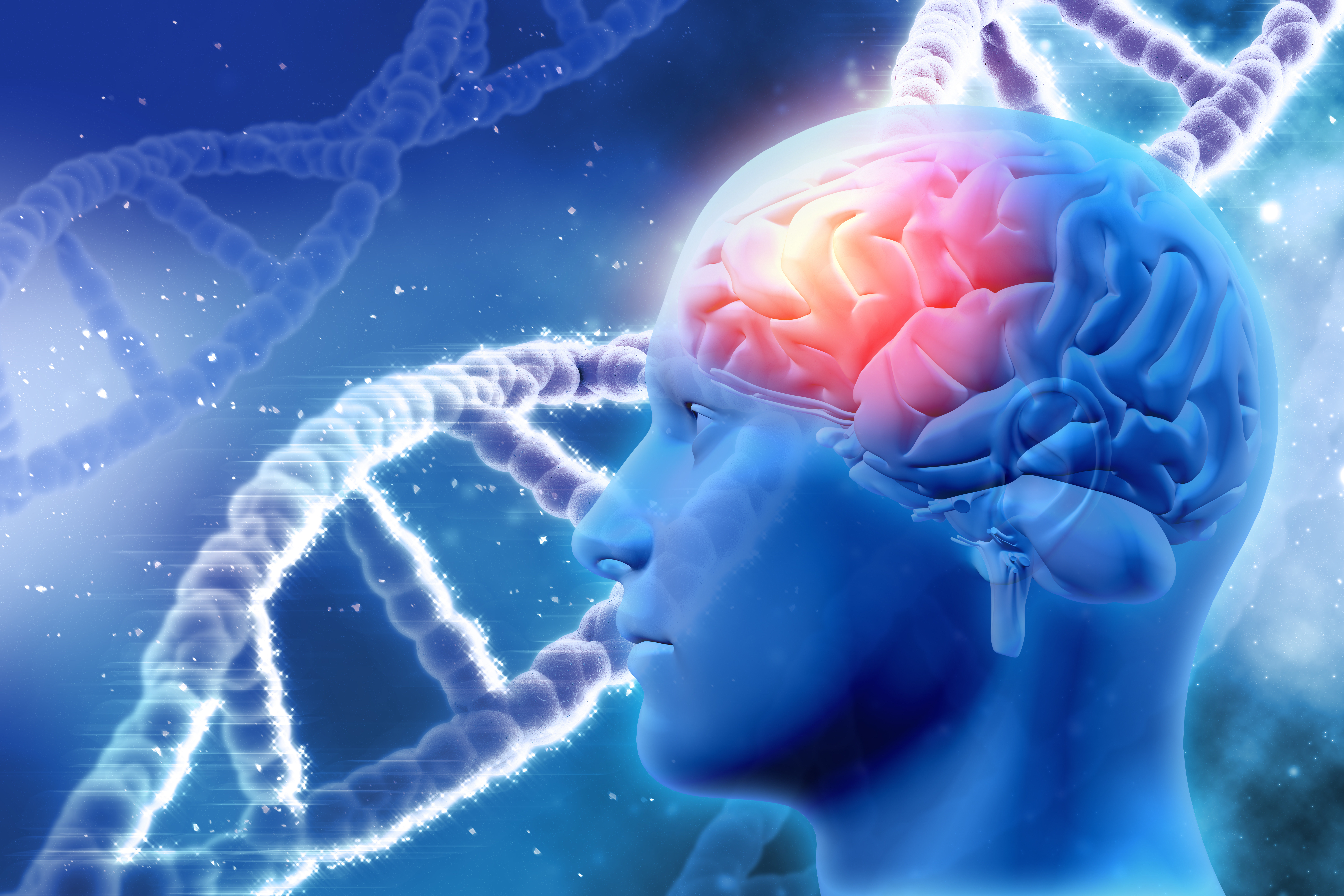 dna, možgani, staranje