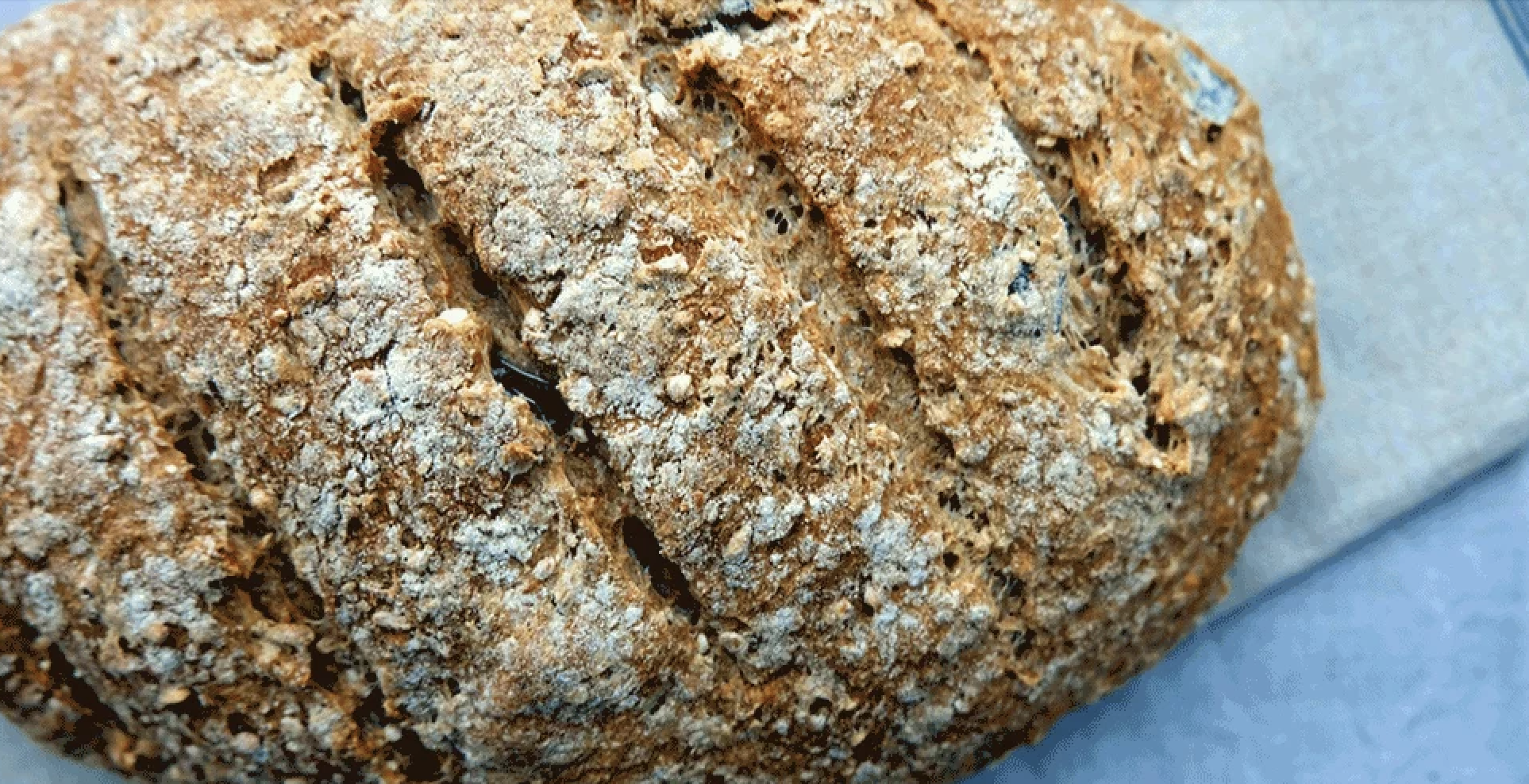 kruh iz ajdove moke