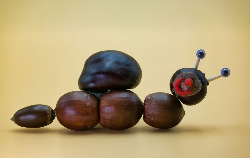 Jesenski projekt iz kostanjev