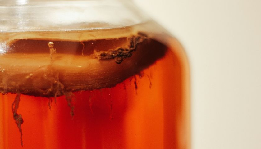 Kombuča je fermentiran čaj, v katerega se dodaja simbiotična kultura bakterij in kvasovk.