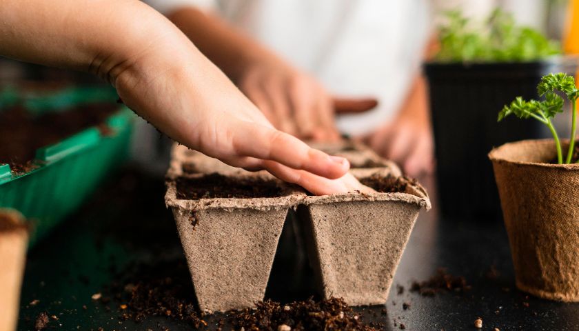 Začimbna in užitna zelišča lahko zelo enostavno gojite na balkonih in terasah.
