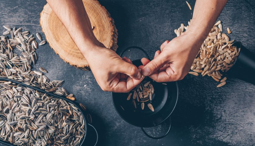 Sončnična semena se zlahka vključijo v številne recepte.