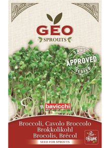 Brokoli Semena za kaljenje – Ekološka 13g Geo