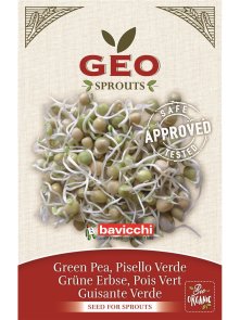 Zeleni grah Semena za kaljenje – Ekološka 90g Geo