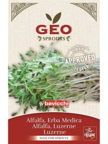 Semena allfalfe (lucerne) za kaljenje – Ekološka 30g Geo