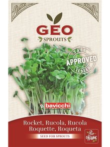 Rukola Semena za kaljenje – Ekološka 30g Geo