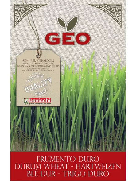 Pšenica Semena za kaljenje – Ekološka 600g Geo