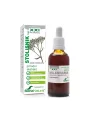 Soria Natural rmanov XXL kompleks v steklenički, 100ml.