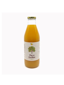 Plantagena sok iz mandarin in jabolk v steklenici, 1000ml.