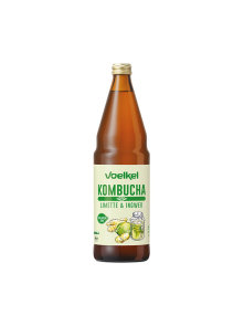 Voelkel Kombucha napitek Limeta & Ingver - Ekološki 0,75l