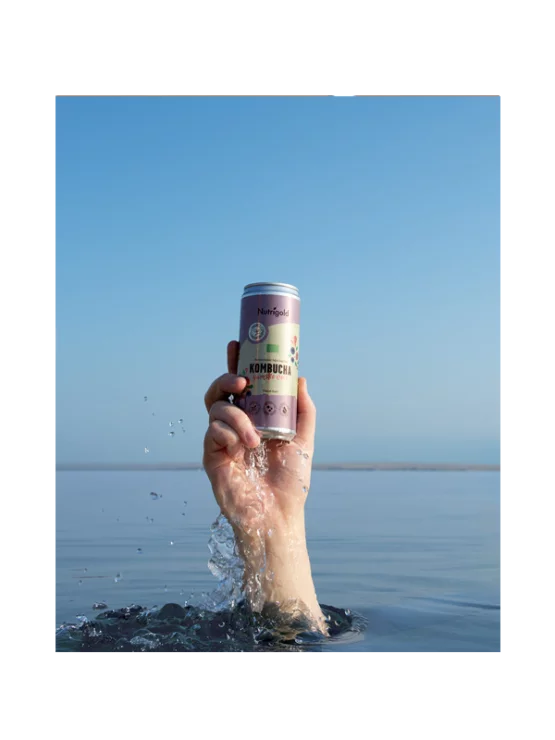Kombucha Gozdni sadeži - Ekološka 330ml Nutrigold