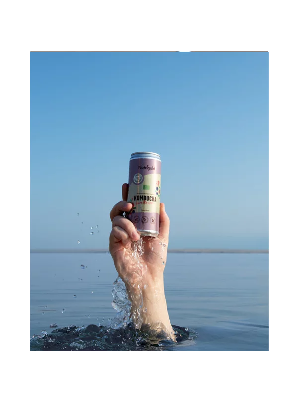 Kombucha Gozdni sadeži - Ekološka 330ml Nutrigold