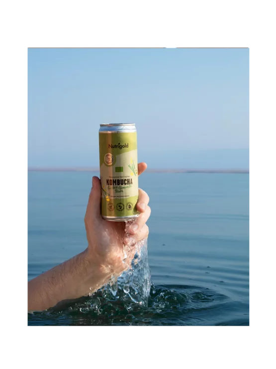 Kombucha Ingver & Limonska trava - Ekološka 330ml Nutrigold