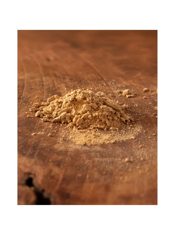 Levja griva v prahu - Ekološka 150g Nutrigold