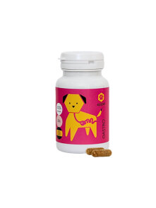 Apipet Gastro za zdravo prebavo pri psih - 60 kapsul