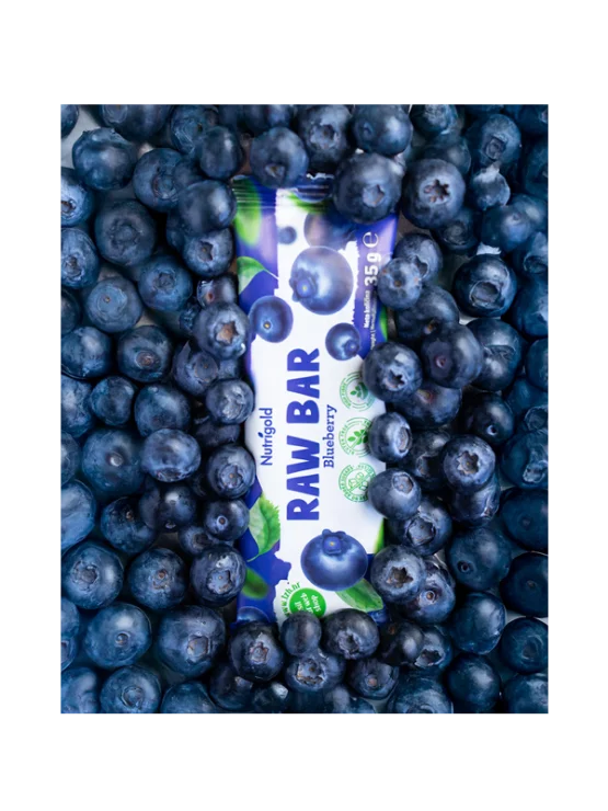 Nutrigold Raw bar Blueberry – 35g Nutrigold