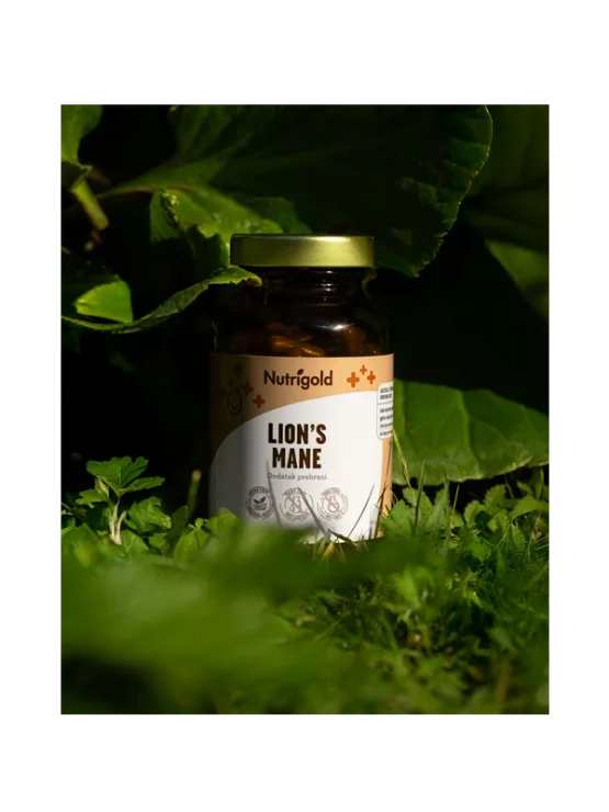 Resasti bradovec - Lion´s mane 500mg - 90 vegan kapsul Nutrigold