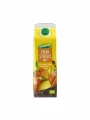 Dennree ekološki osvežilni sadni napitek tetrapak 1l