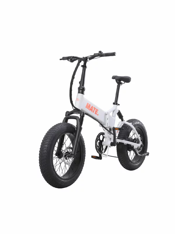 Mate X Evo 250W - Ghost Gravity