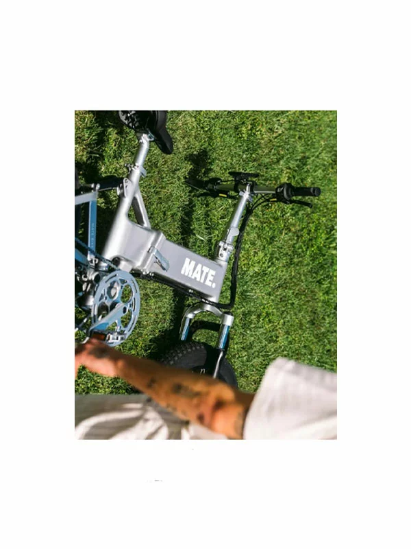 Mate X Evo 250W - Silver Comet