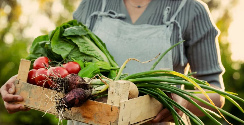 Katero sadje in zelenjavo naj uživamo pomladi?
