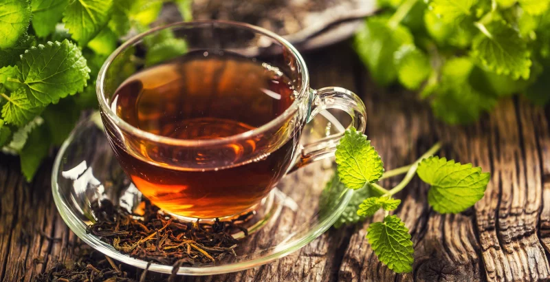 Dobro razpoloženje in mirni spanec vam zagotavlja čaj iz melise