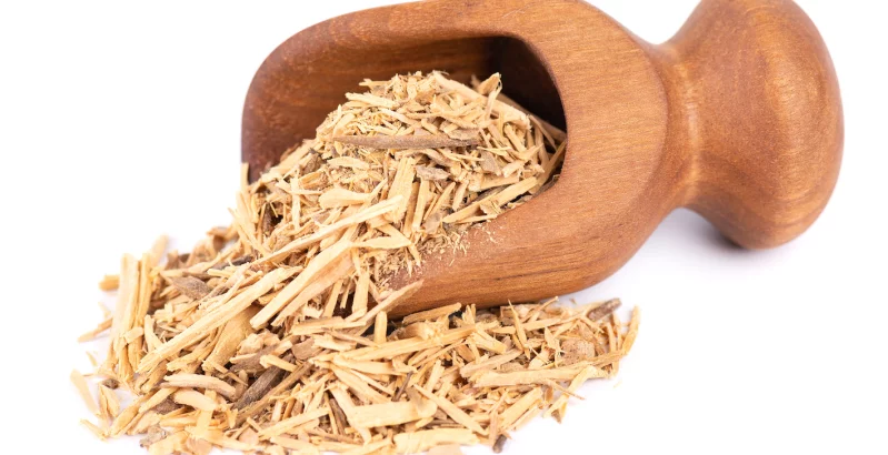 Muira Puama premaga impotenco in vrača energijo celemu telesu