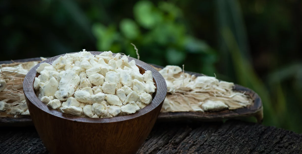 Baobab v prahu - vir vitaminov in mineralov za močen imunski sistem