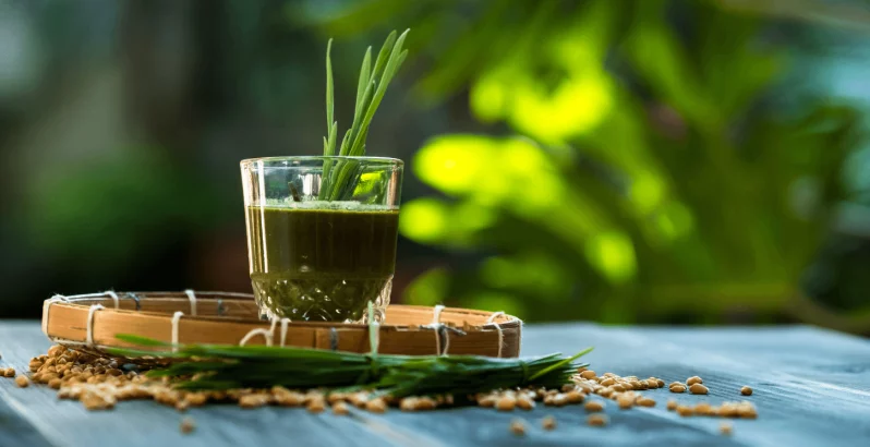 Razstrupljanje s pomočjo mlade zelene pšenice