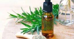 Eterično olje rožmarina - od močnejših las do izboljšane cirkulacije