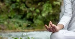 Brahmi - ayurvedska rastlina za bister um in zdravje možganov