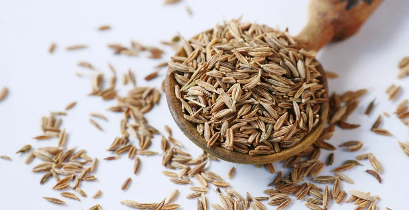 Žlička kumina v prahu za okusnejše jedi in za zdravo hujšanje