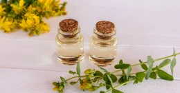 Šentjanževka - rastlina ki pomaga prebavi, tesnobi, nespečnosti in kožnih težavah