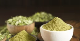 Moringa v prahu