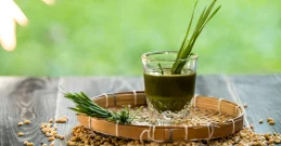 Pšenična trava za bolj zdravo ščitnico, čisto kri in boljšo prebavo