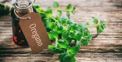Zakaj je olje divjega origana tako dragoceno in cenjeno?