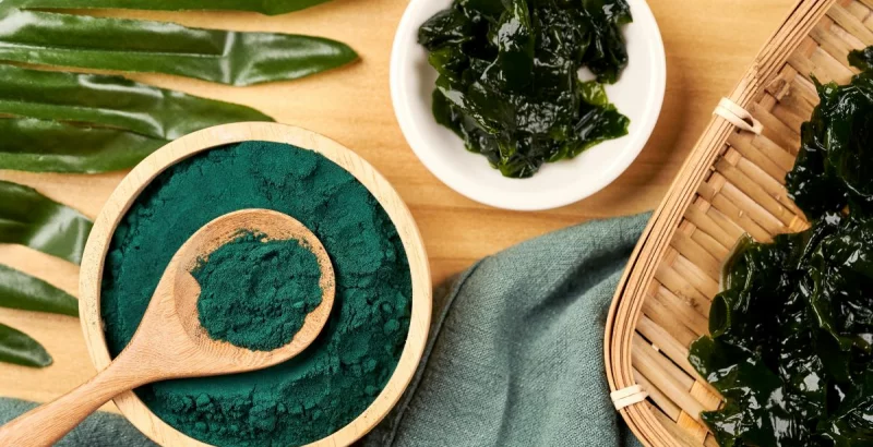 Spirulina - vprašanja in odgovori o zdravilni algi morskih globin