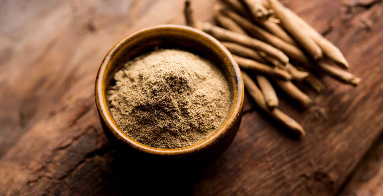 reishi gobe adaptogen