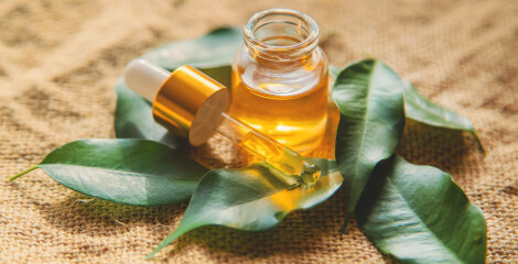 Olje čajevca kot zdravilo za obraz in glivice - zdravilnost in uporaba