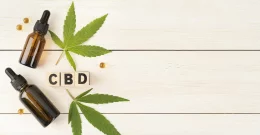 Kaj je CBD (kanabidiol) in kakšne so njegove prednosti ter slabosti uživanja?