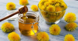 Regratov med - zdravilnost, uporaba in recept