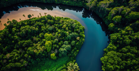 Skrite skrivnosti Amazonskega pragozda - pljuča zemlje in vira življenja