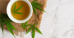 Čaj iz konoplje za zdravje in sprostitev - zdravilnost, uporaba, doziranje