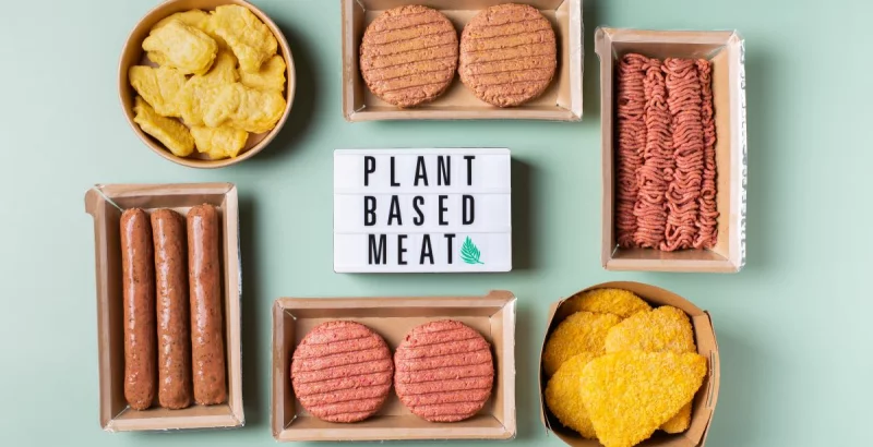 Veganski nadomestki mesa: Vodnik skozi okusne alternative mesu