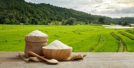 Riž - temelj azijske kulture in svetovne kuhinje