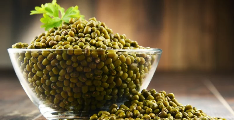 Mungo fižol - majhna in močna hranljiva bomba!