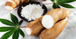 Cassava, tapioka in manioka - katera je razlika in kako uporabljati to eksotično rastlino v kuhinji