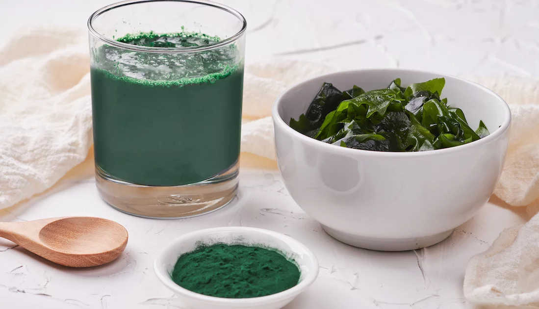 Kelp alga za zdravje in boljšo ščitnico