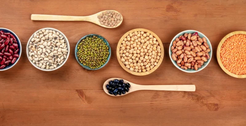 različne vrste fižola in stročnic